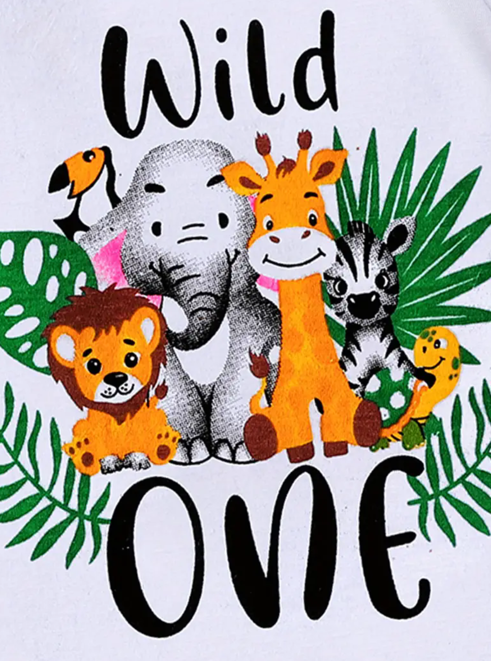 Boy Animal two piece set