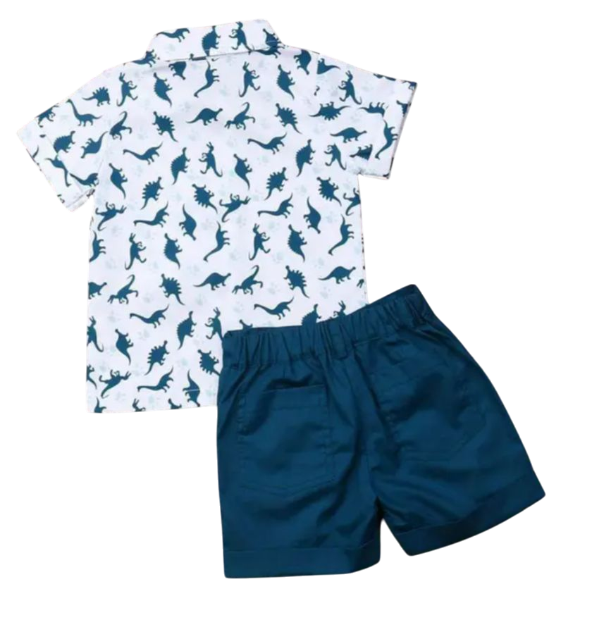 Boys two piece dinosaur set