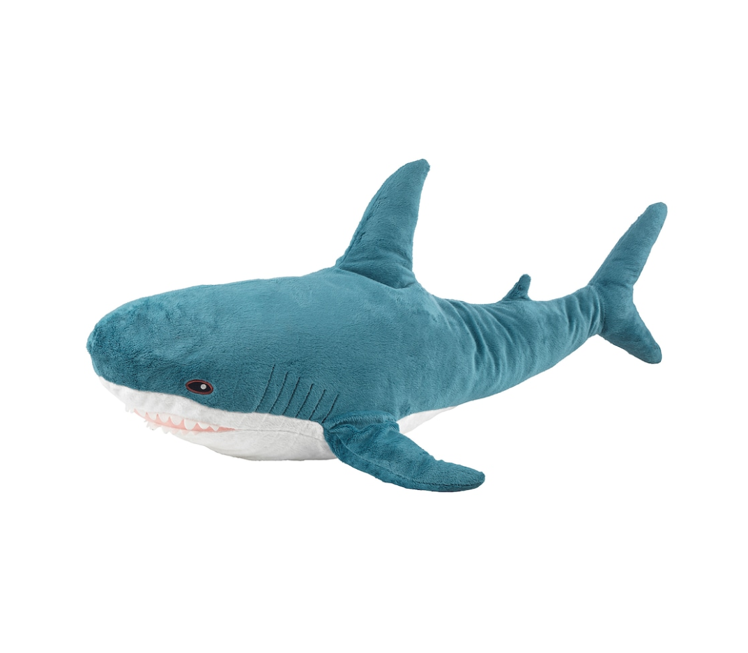 Kid Shark