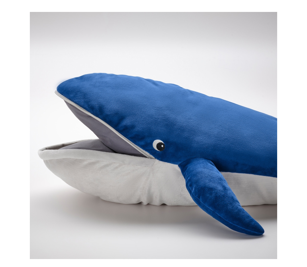 Kid whale