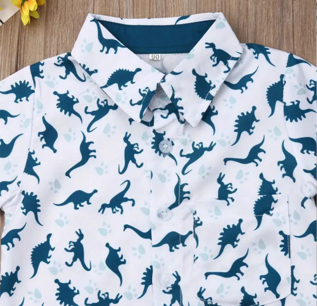 Boys two piece dinosaur set