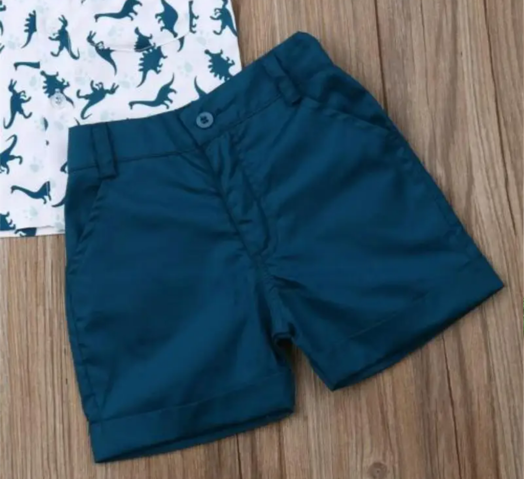 Boys two piece dinosaur set