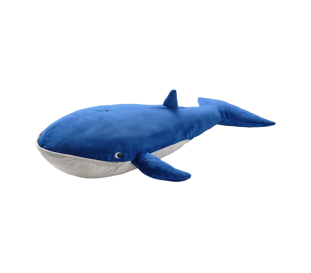 Kid whale