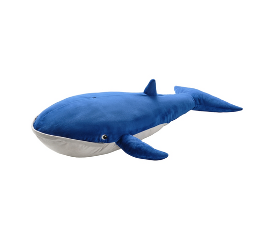 Kid whale